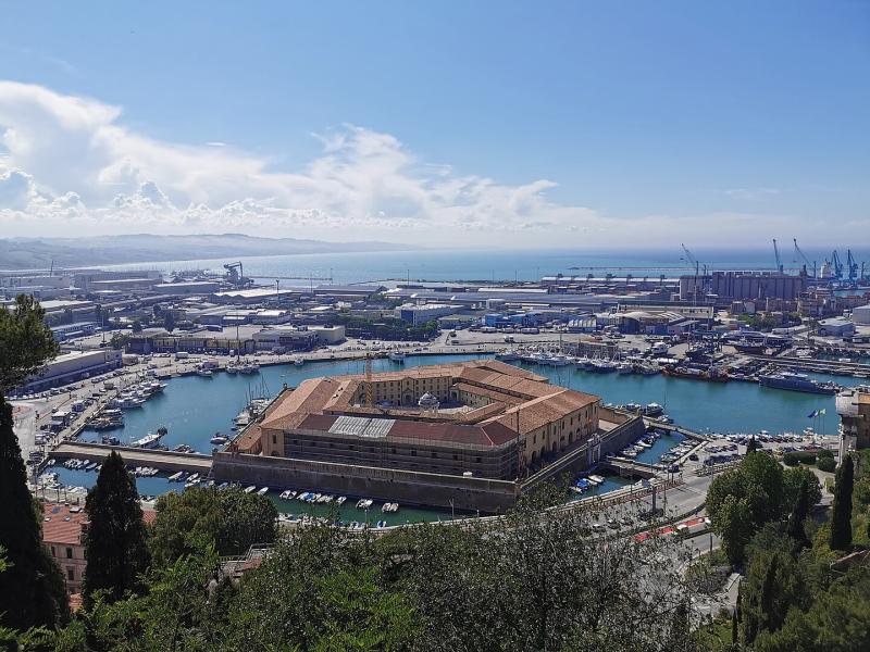 Ancona