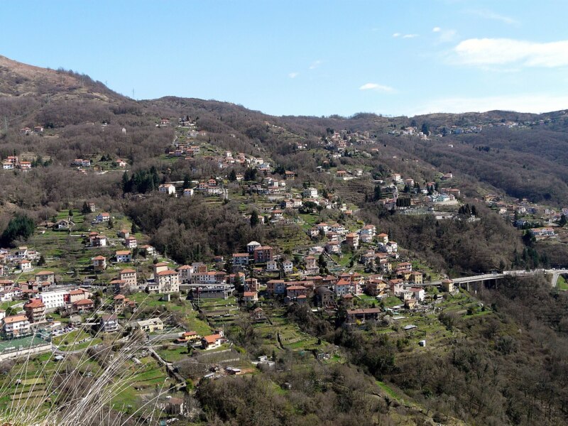 Bargagli