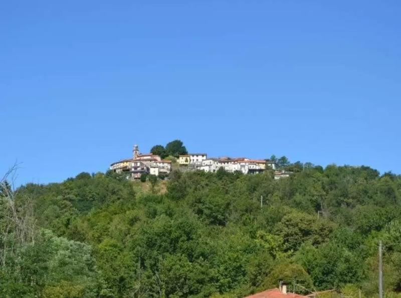 Bozzolo