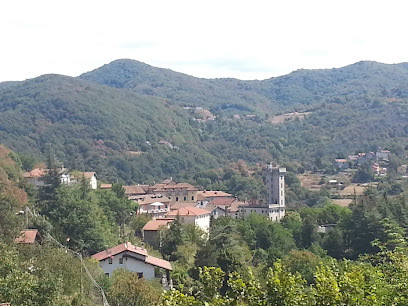 Borlasca