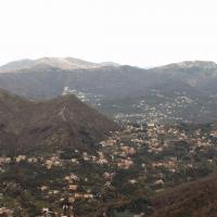 Bavari