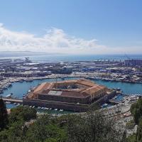 Ancona