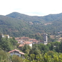 Borlasca